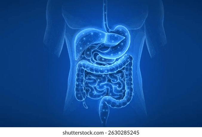 Saaroopya Homeo Clinic digestive health care for gastritis, indigestion, constipation, and ulcers
